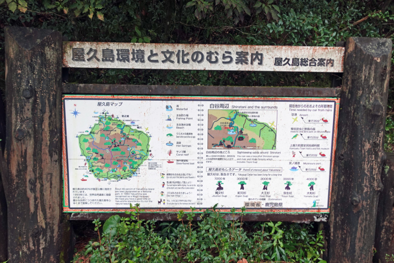 image0008