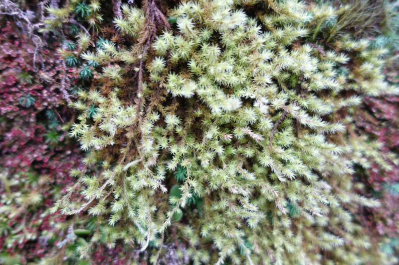 image0010