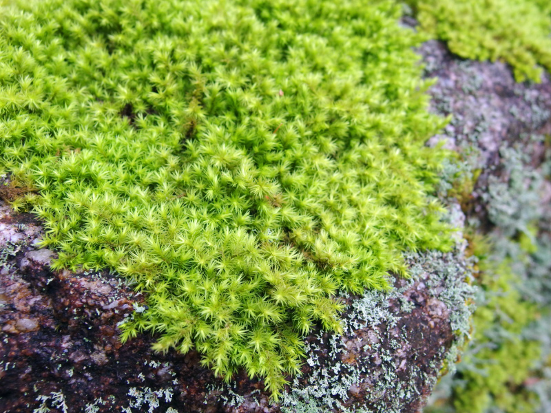 image0024