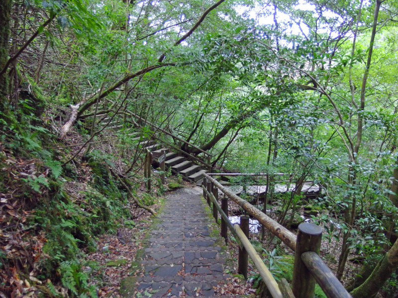 image0032