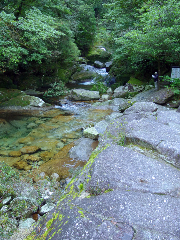 image0044