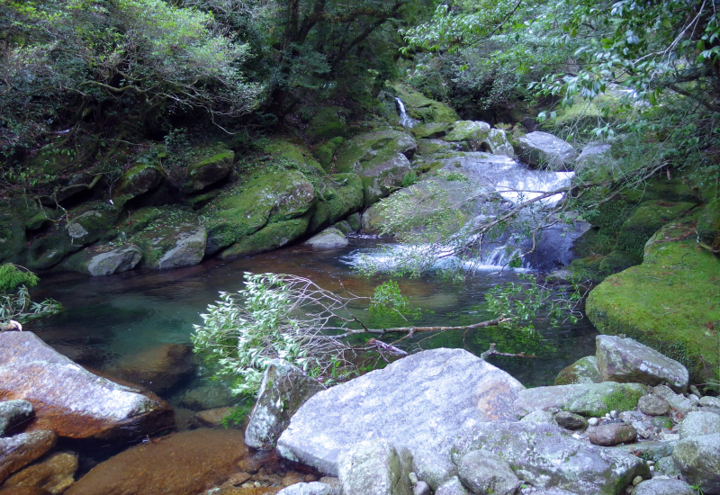 image0046
