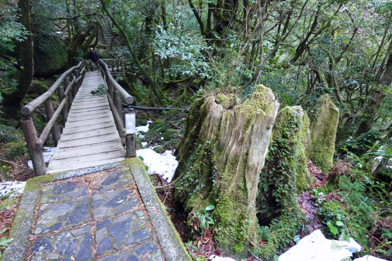 image0056