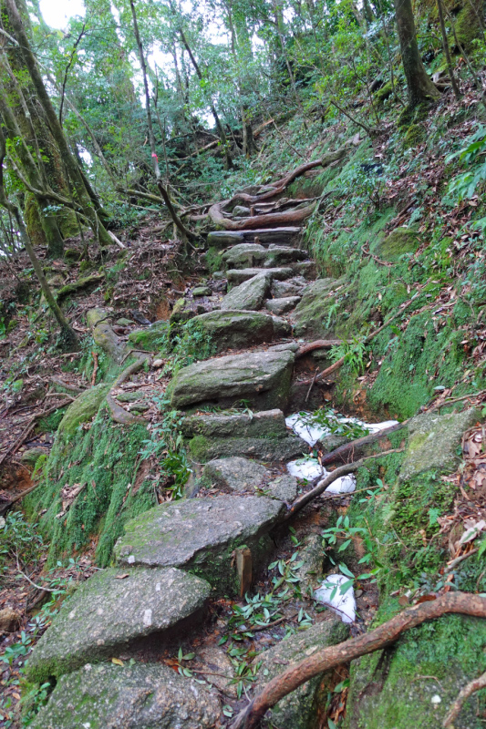 image0065