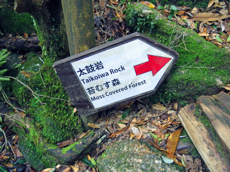 image0067
