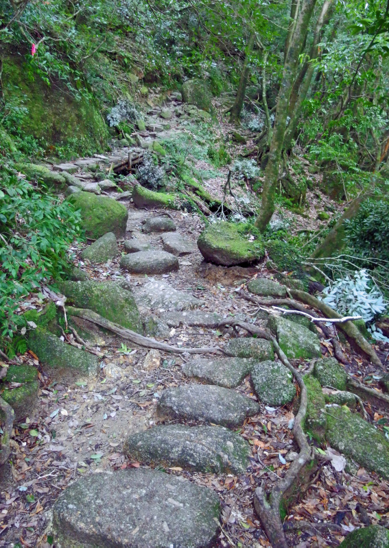 image0068