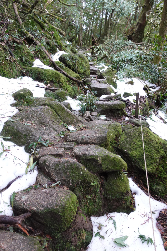 image0091