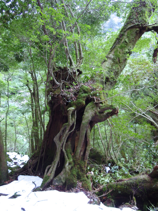 image0099