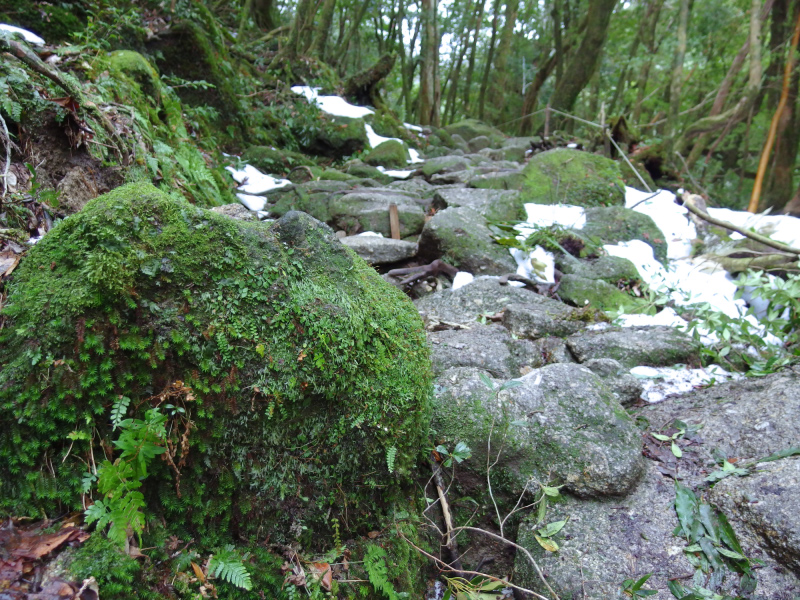 image0100