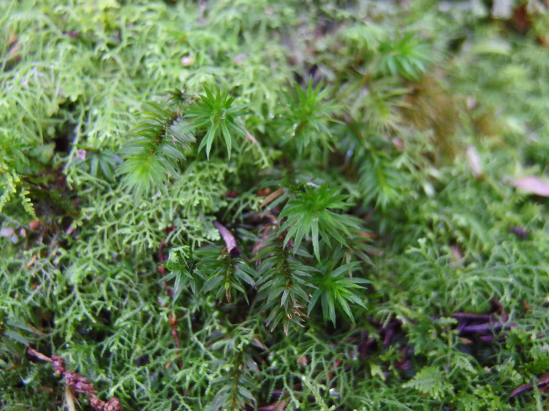 image0103