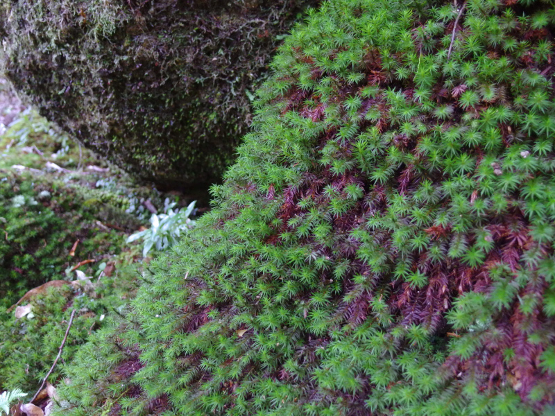 image0109