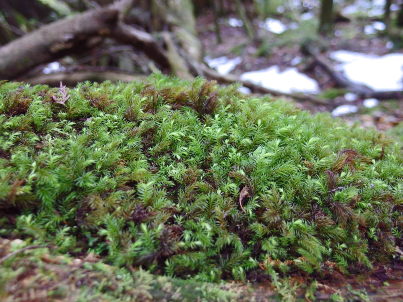 image0111