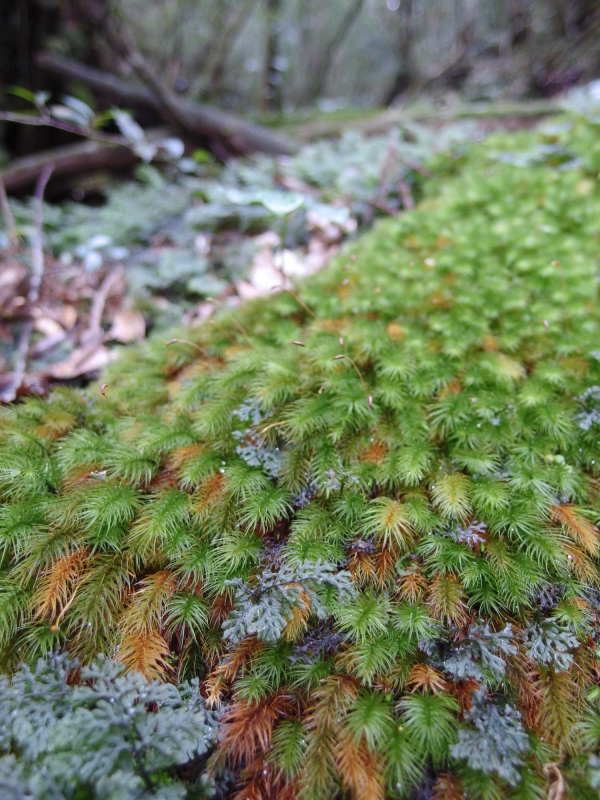 image0112