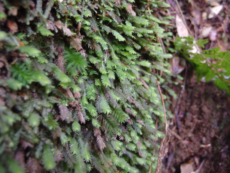 image0115