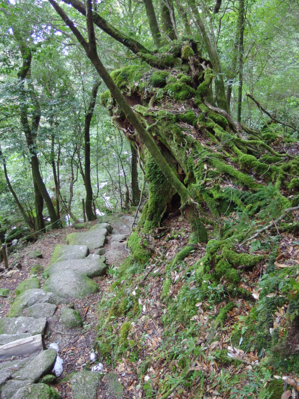 image0116