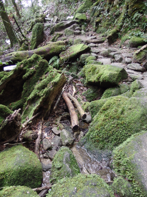 image0118