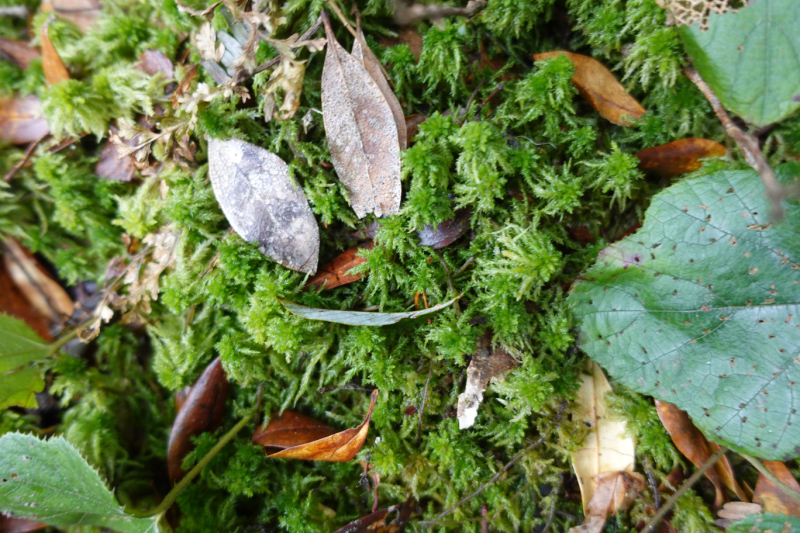 image0122