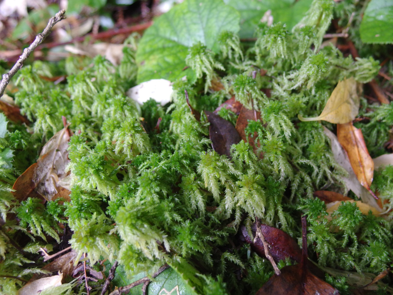 image0124