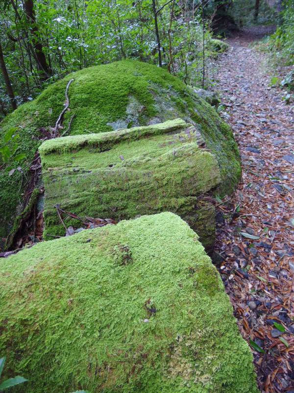 image0126