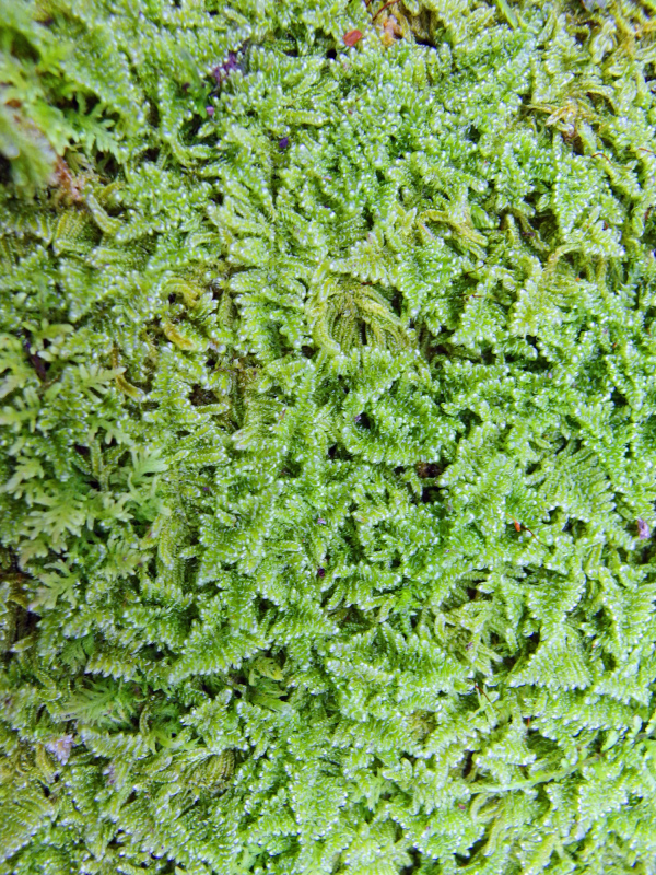 image0128