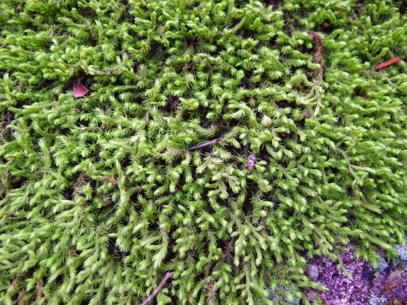image0129