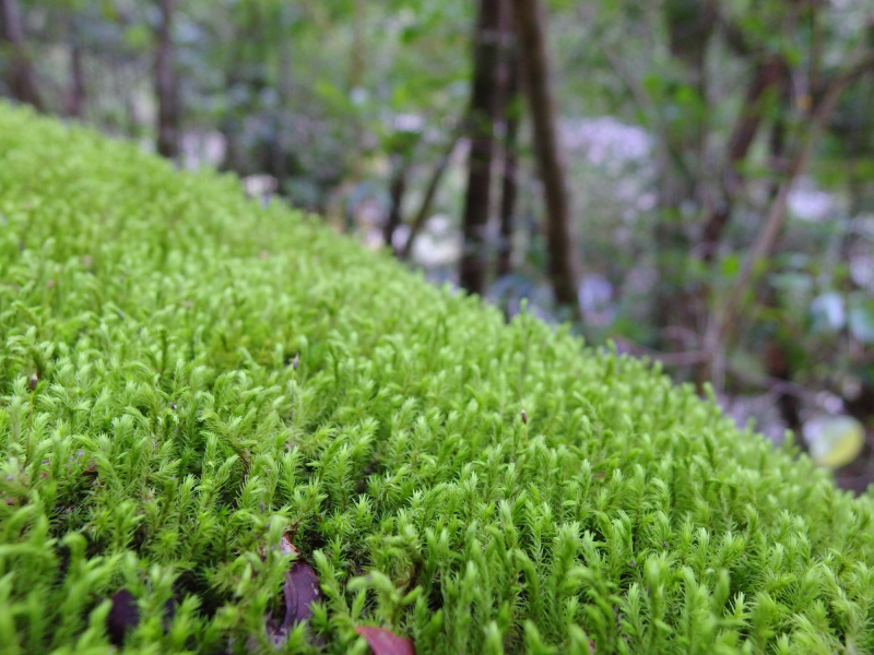 image0130