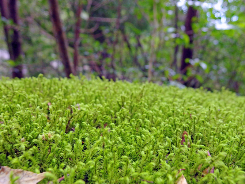 image0131