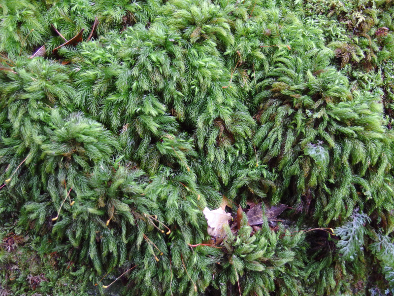 image0134