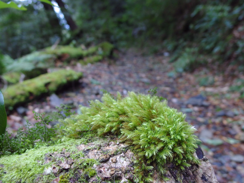 image0135