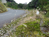 image0003