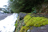 image0007
