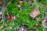 image0015