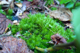 image0016