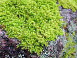 image0024