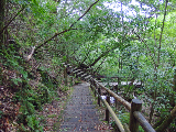 image0032