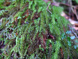 image0039