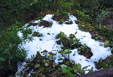 image0040