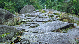 image0041