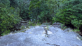 image0042