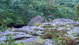 image0043