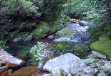 image0046