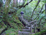 image0047