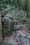 image0059