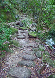 image0068