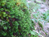 image0071