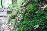 image0073