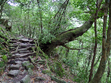 image0076