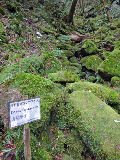 image0079