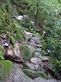 image0082