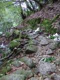 image0088